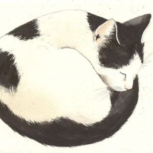 Meet your Posher, A.